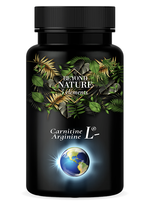 L-Carnitine and L-Arginine